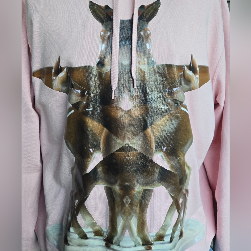 Burberry Eversham Graphic Hoodie - Picture 4 of 10